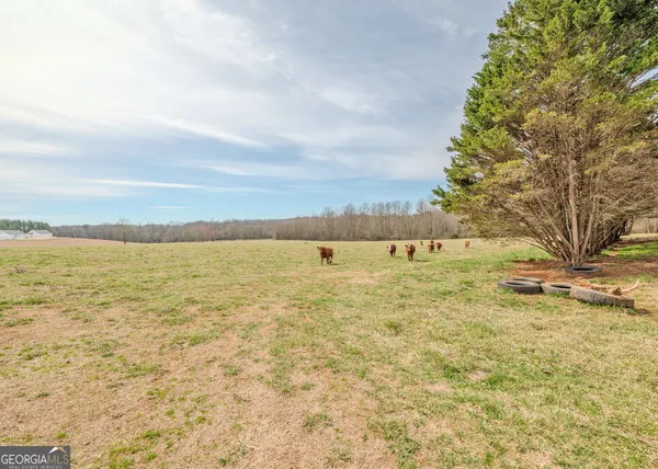 $925,000 | 50-acres Mcfarlin Bridge, Carnesville, GA 30521