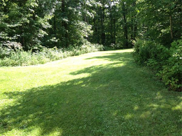 381 East County Road Rutland, MA 01543 - Photo 23 of 28 a view of a yard with a tree