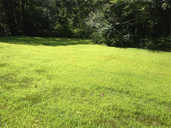 381 East County Road Rutland, MA 01543 - Photo 25 of 28 a view of yard with swimming pool and green space