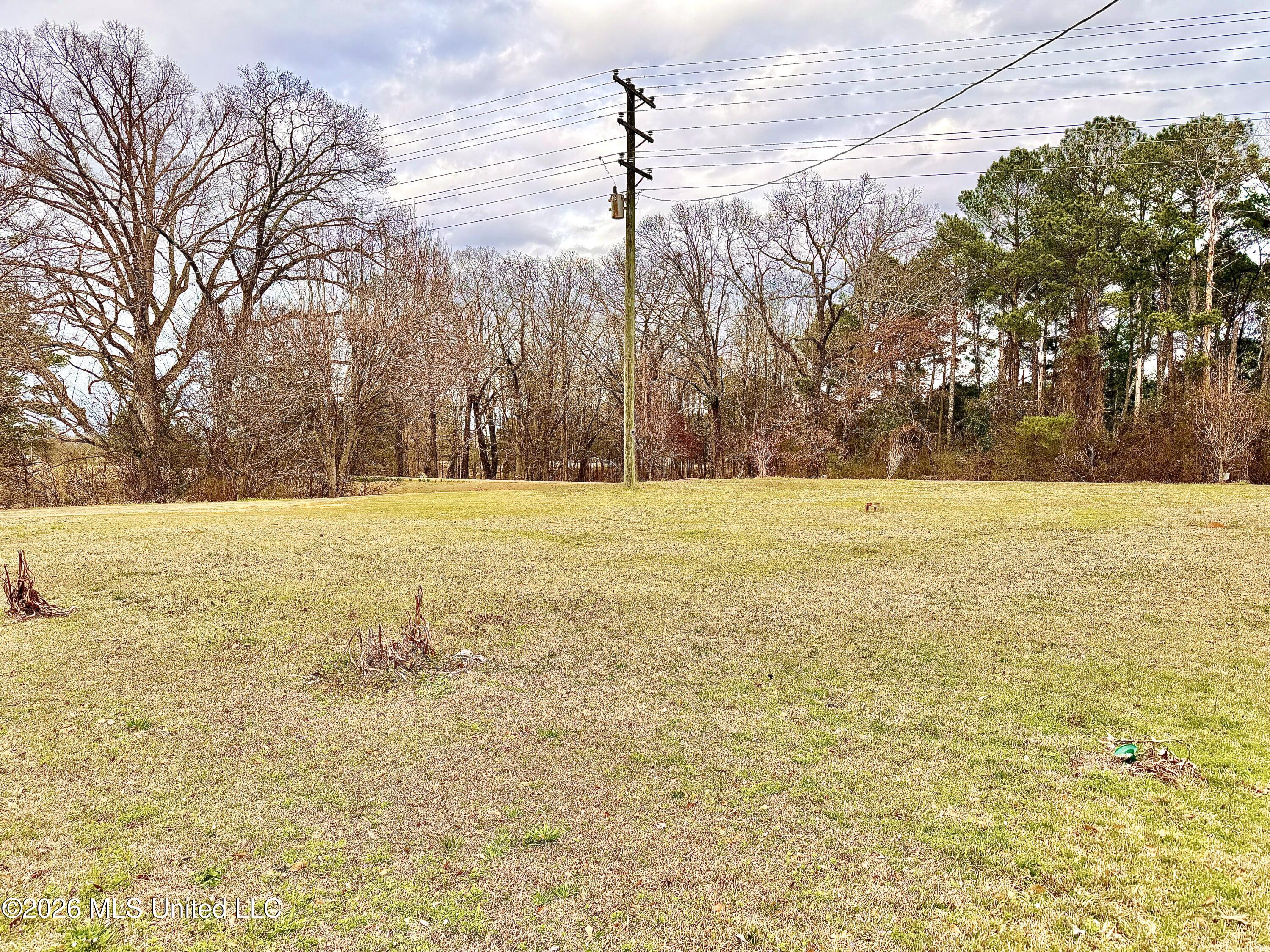 1440 Highway 35 Carthage, MS 39051 - Photo 14 of 36 IMG_1823