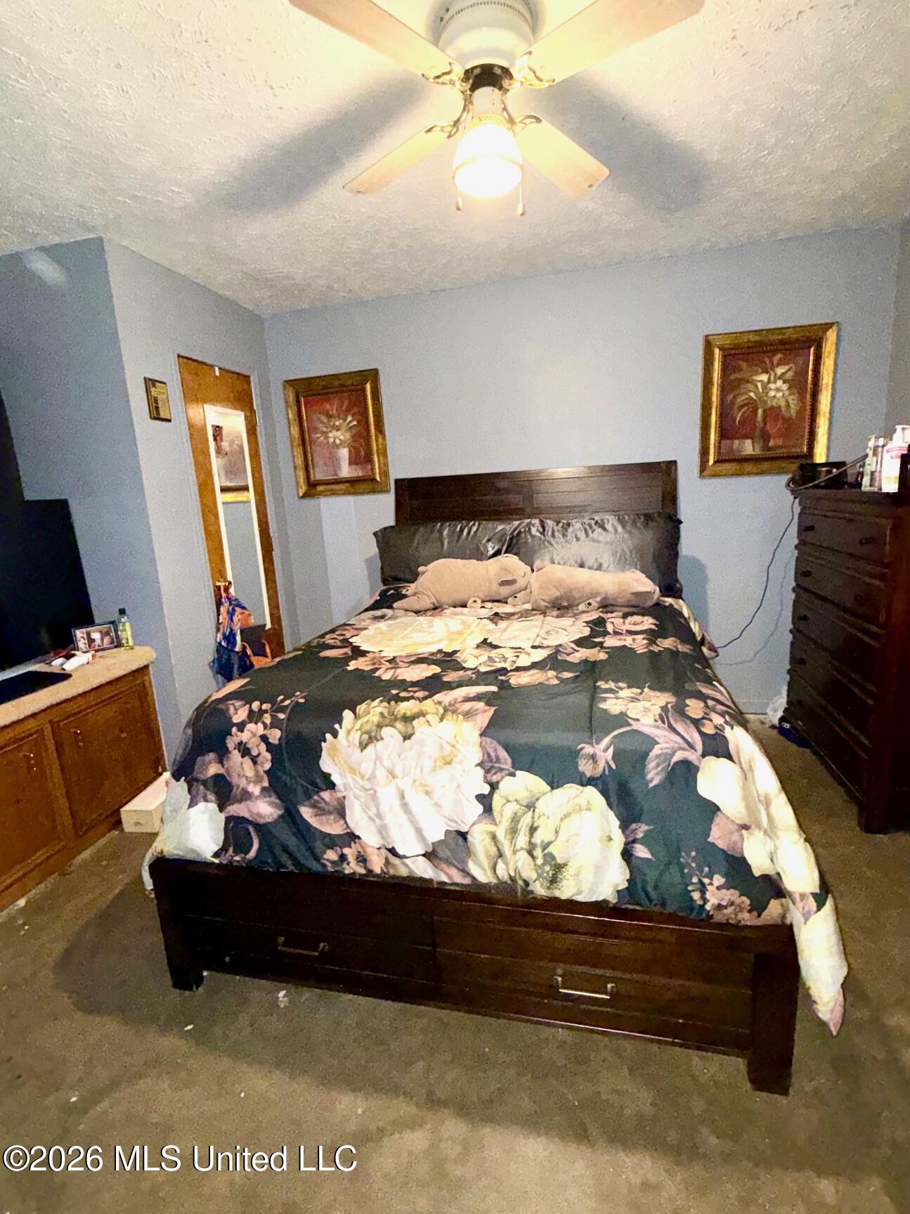 1440 Highway 35 Carthage, MS 39051 - Photo 32 of 36 IMG_6196