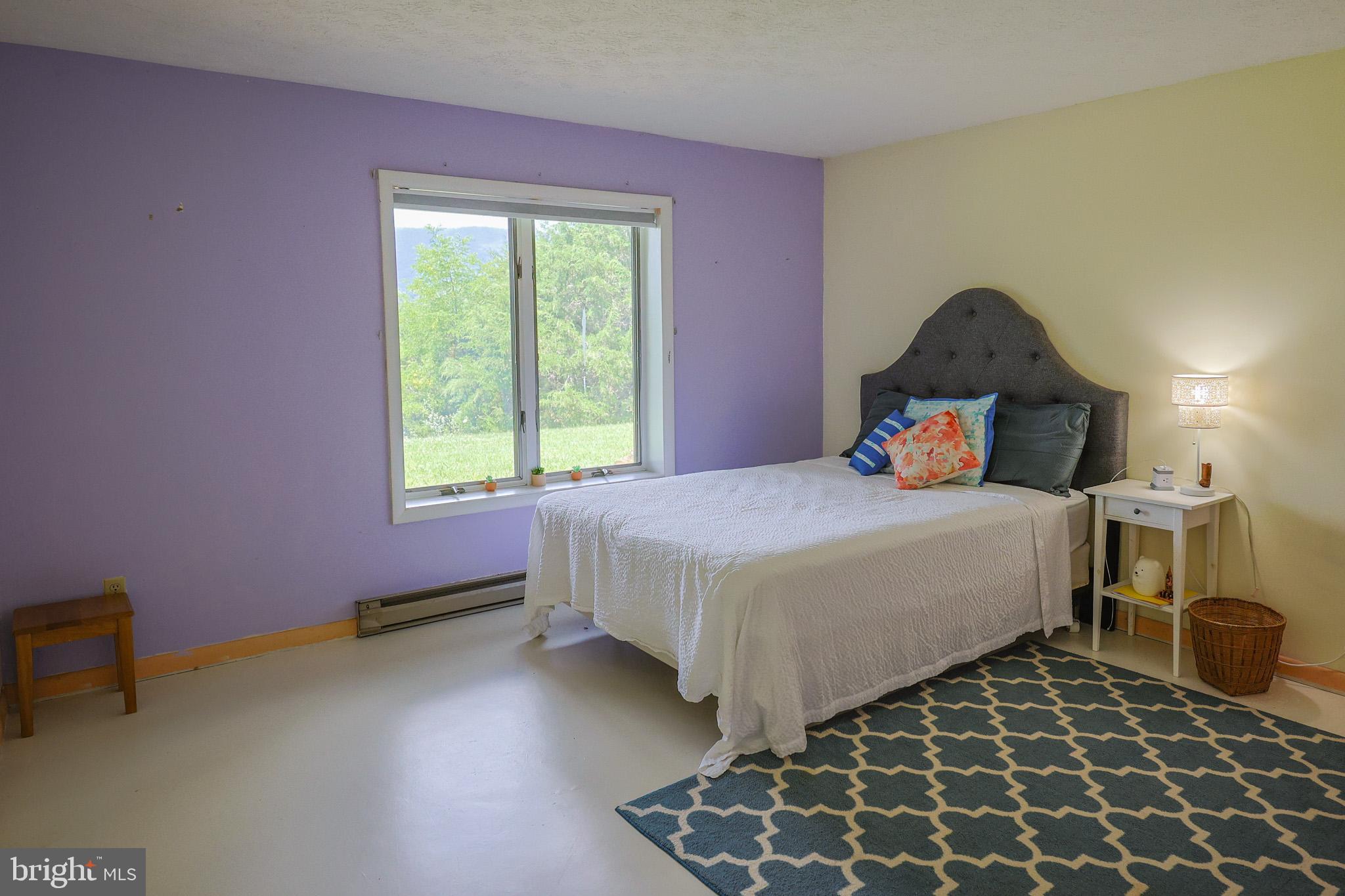 522 Star View Lane Rileyville, VA 22650 - Photo 51 of 83
