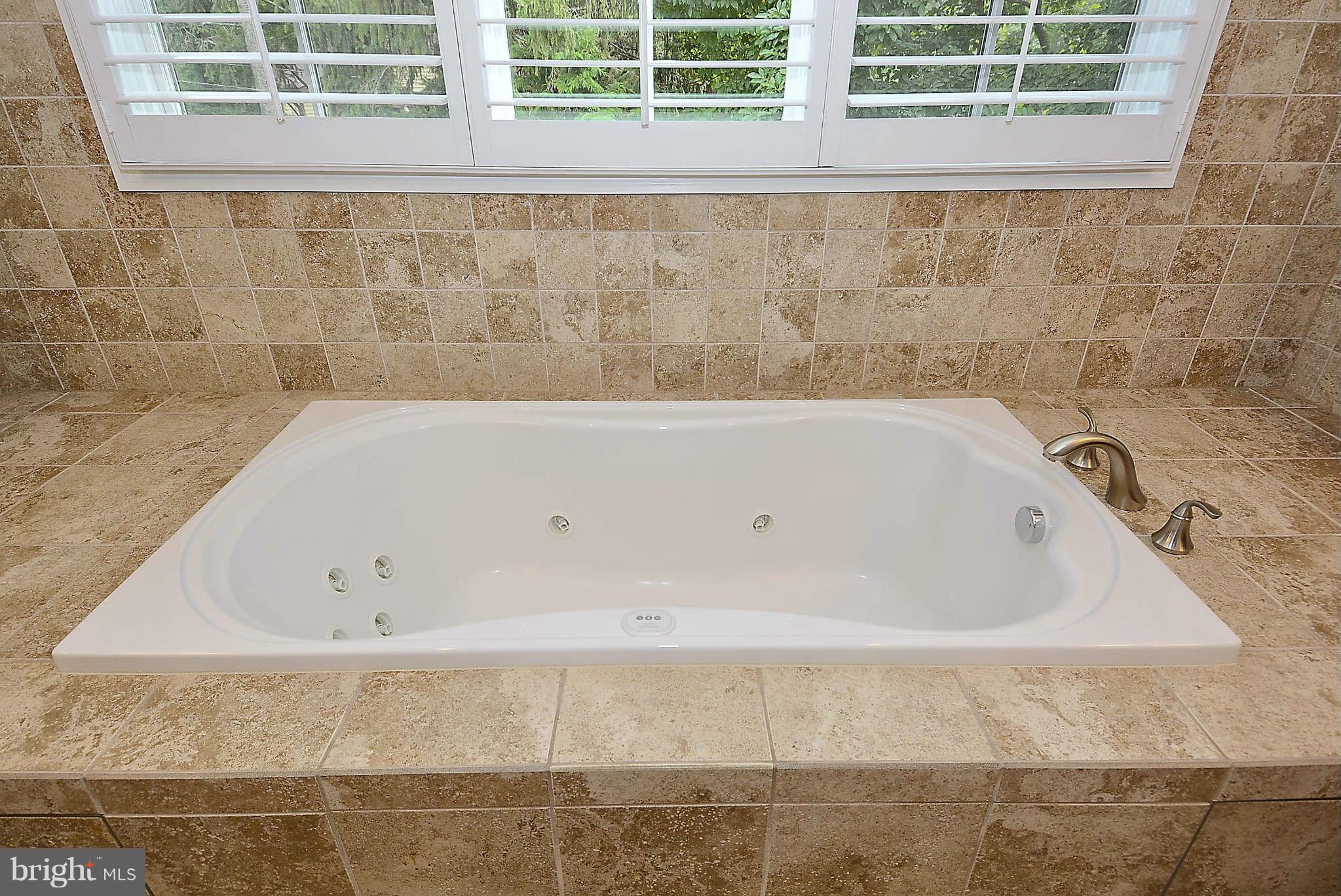 4430 19th Road North Arlington, VA 22207 - Photo 15 of 30 Jetted Soaking Tub