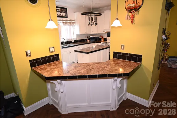 a kitchen with a sink a counter top space and cabinets