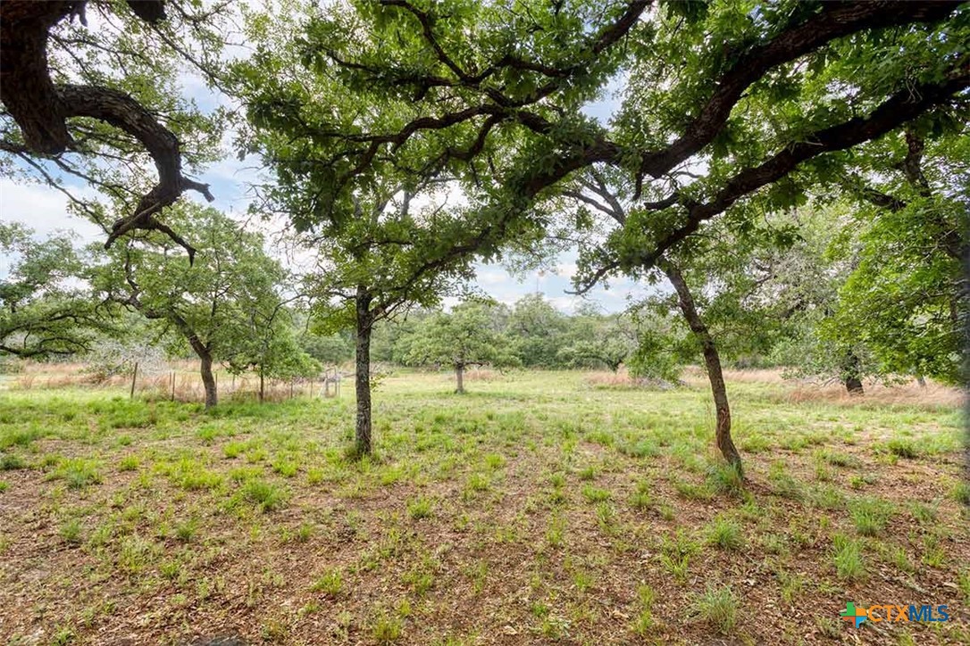 20-acres Guadalupe Ranch Lane Seguin, TX 78155 - Photo 41 of 42