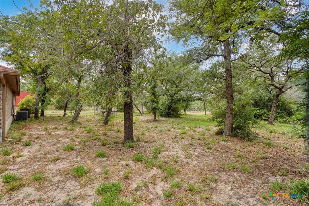 20-acres Guadalupe Ranch Lane Seguin, TX 78155 - Photo 42 of 42 a view of a tree in the middle of a yard