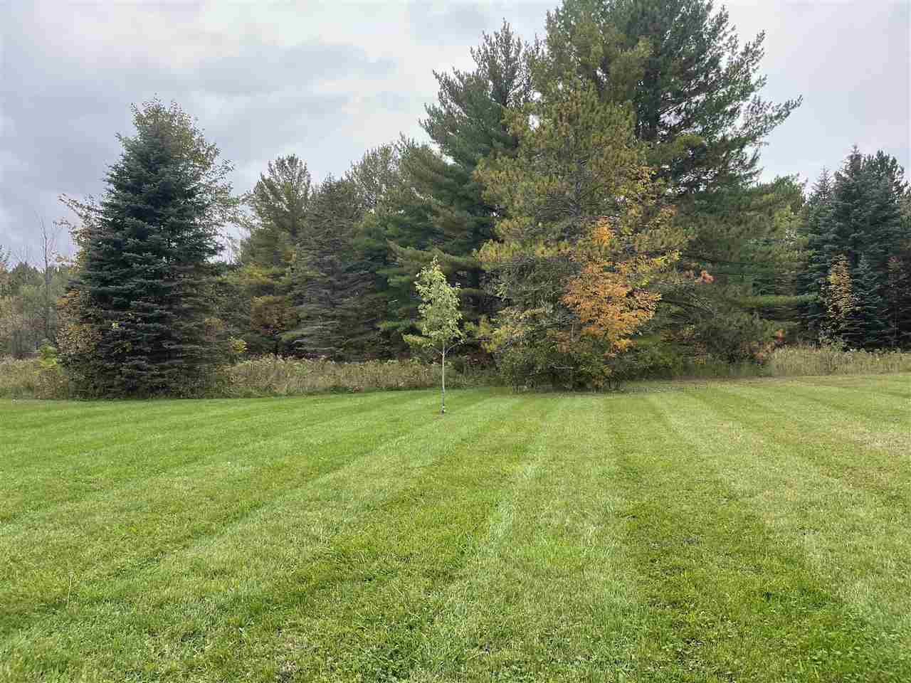 6650 Slosser Road Hale, MI 48739 - Photo 6 of 34 1893711-5.JPG