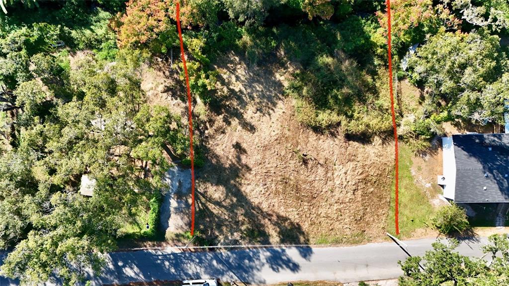 916 Nashville Road Lakeland, FL 33815 - Photo 3 of 3 a view of a yard with plants and trees