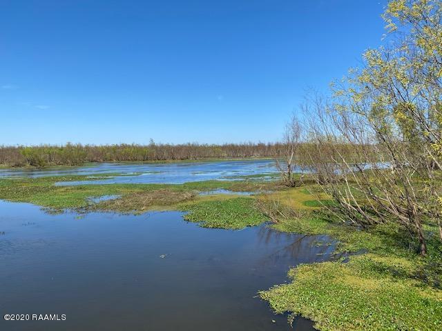 Tbd Cotten Road Patterson, LA 70392 - Photo 1 of 29 IMG_6722