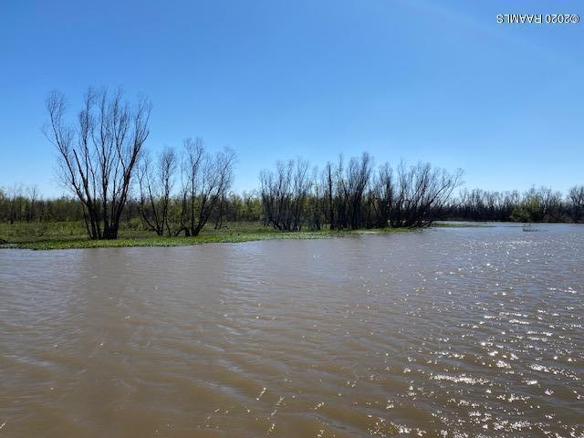 Tbd Cotten Road Patterson, LA 70392 - Photo 2 of 29 IMG_6712