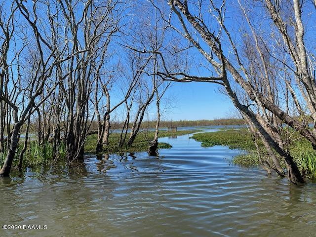 Tbd Cotten Road Patterson, LA 70392 - Photo 4 of 29 IMG_6716
