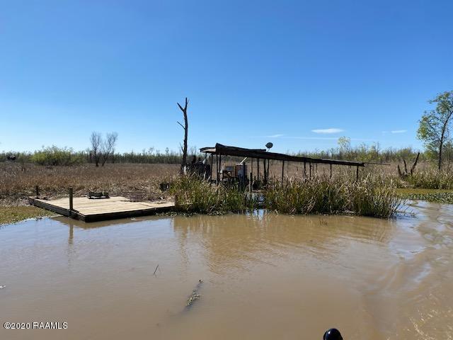 Tbd Cotten Road Patterson, LA 70392 - Photo 5 of 29 IMG_6725