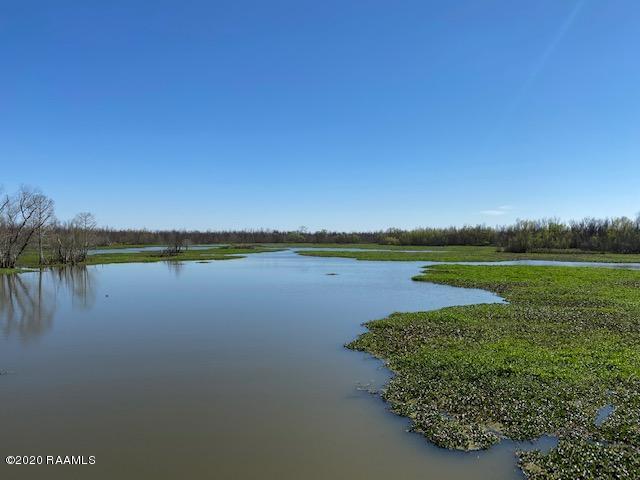 Tbd Cotten Road Patterson, LA 70392 - Photo 8 of 29 IMG_6730