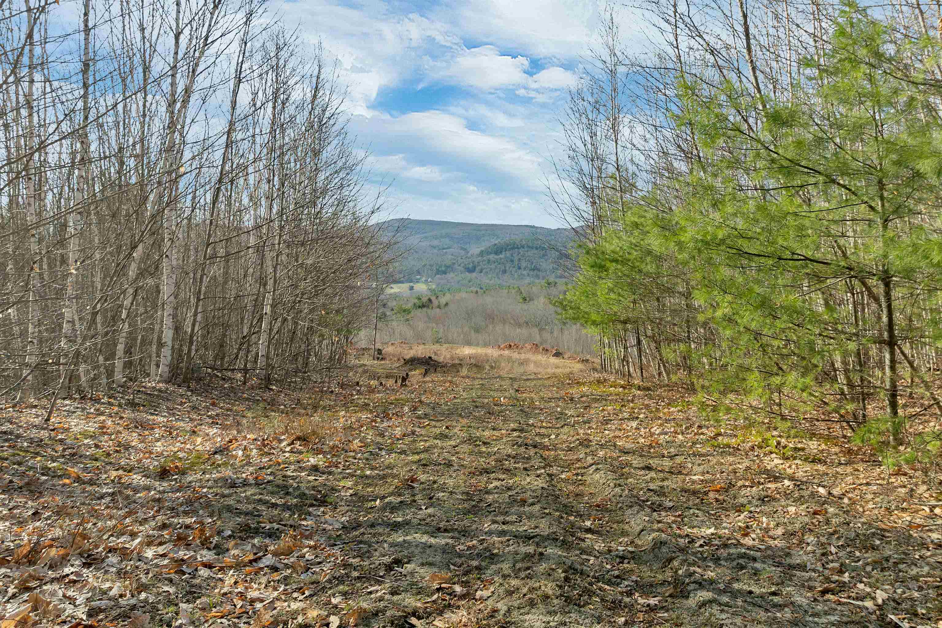 Lot 41 Oakcrest Road Bristol, NH 03222 - Photo 11 of 17