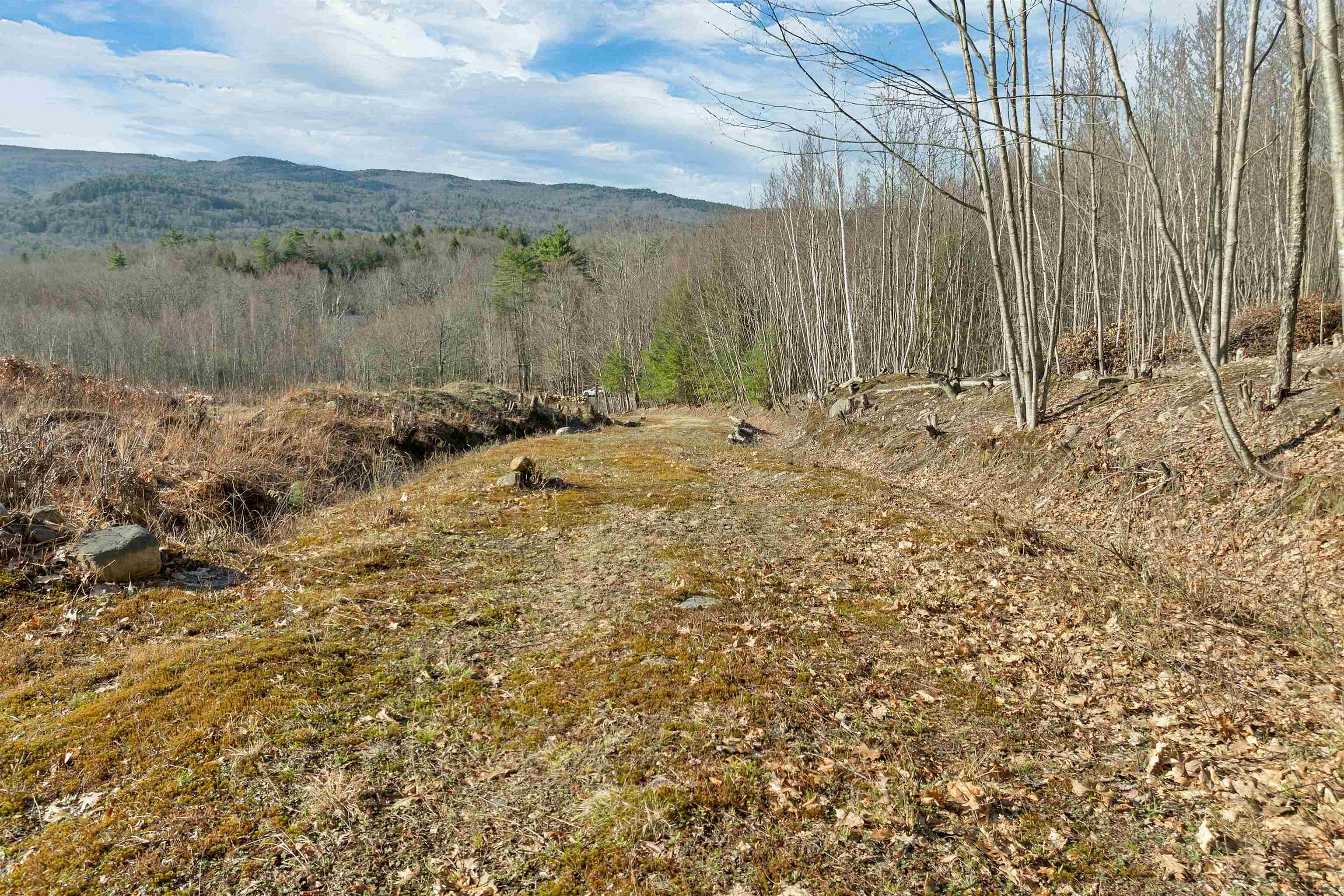 Lot 41 Oakcrest Road Bristol, NH 03222 - Photo 6 of 17