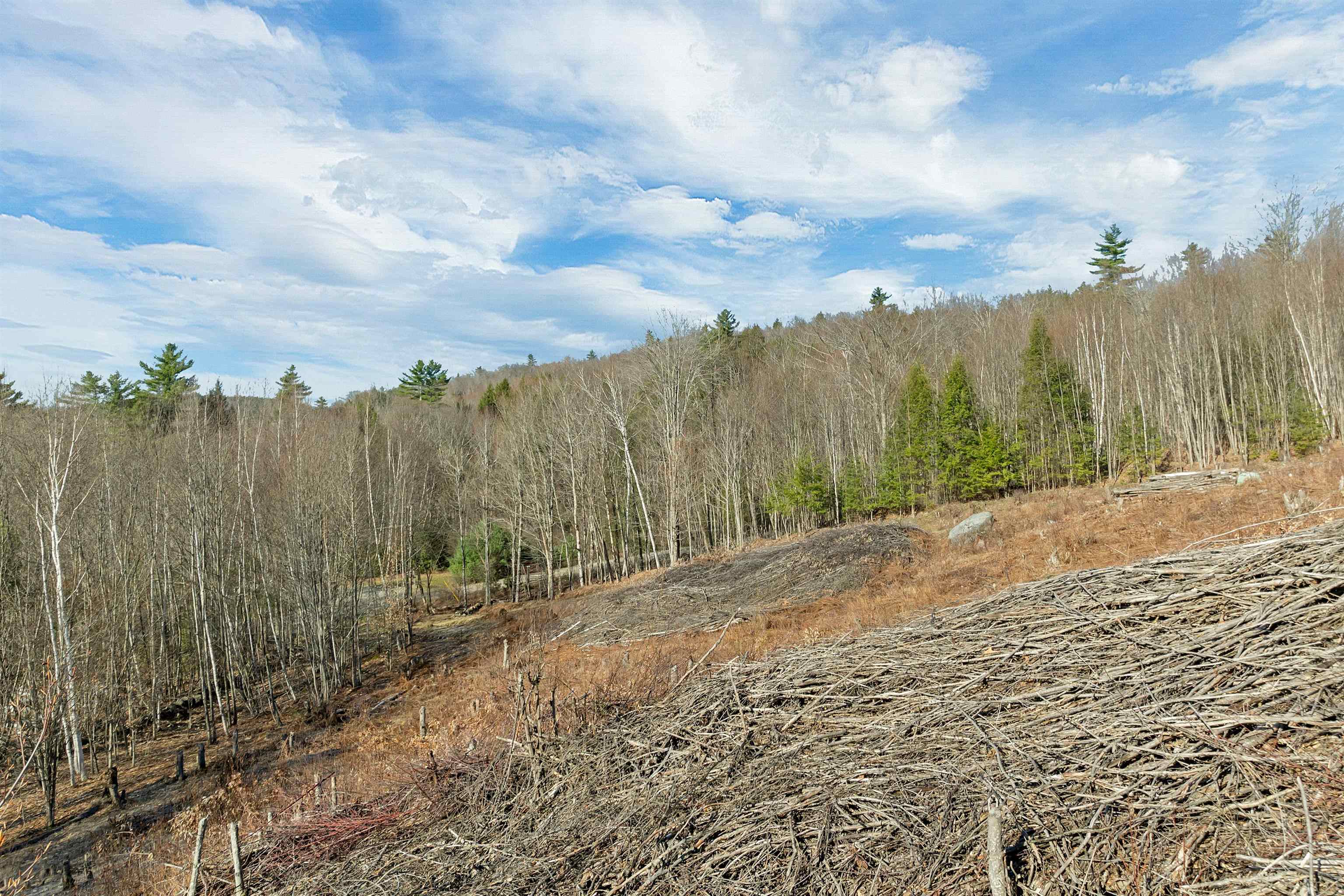 Lot 41 Oakcrest Road Bristol, NH 03222 - Photo 7 of 17