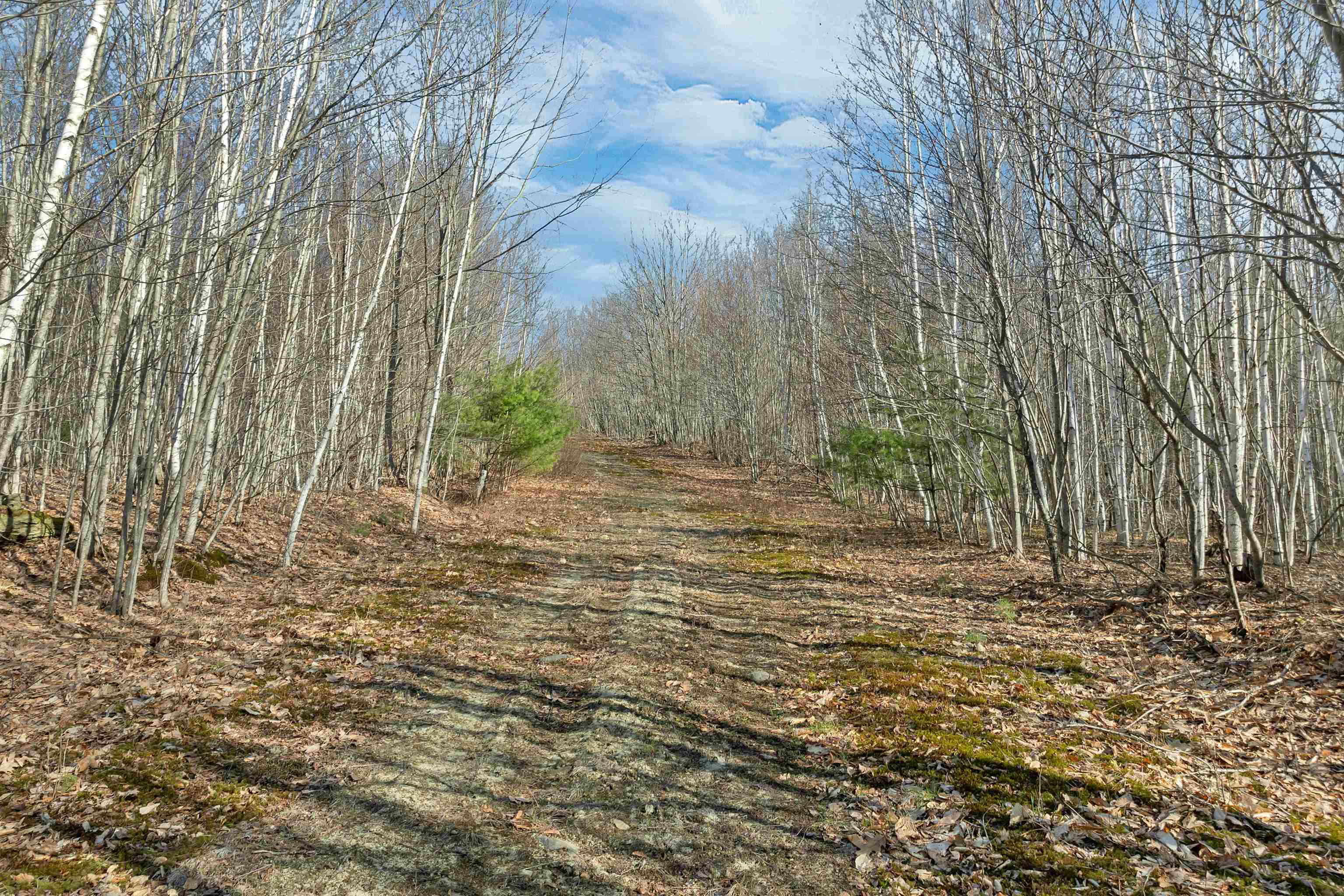 Lot 41 Oakcrest Road Bristol, NH 03222 - Photo 10 of 17