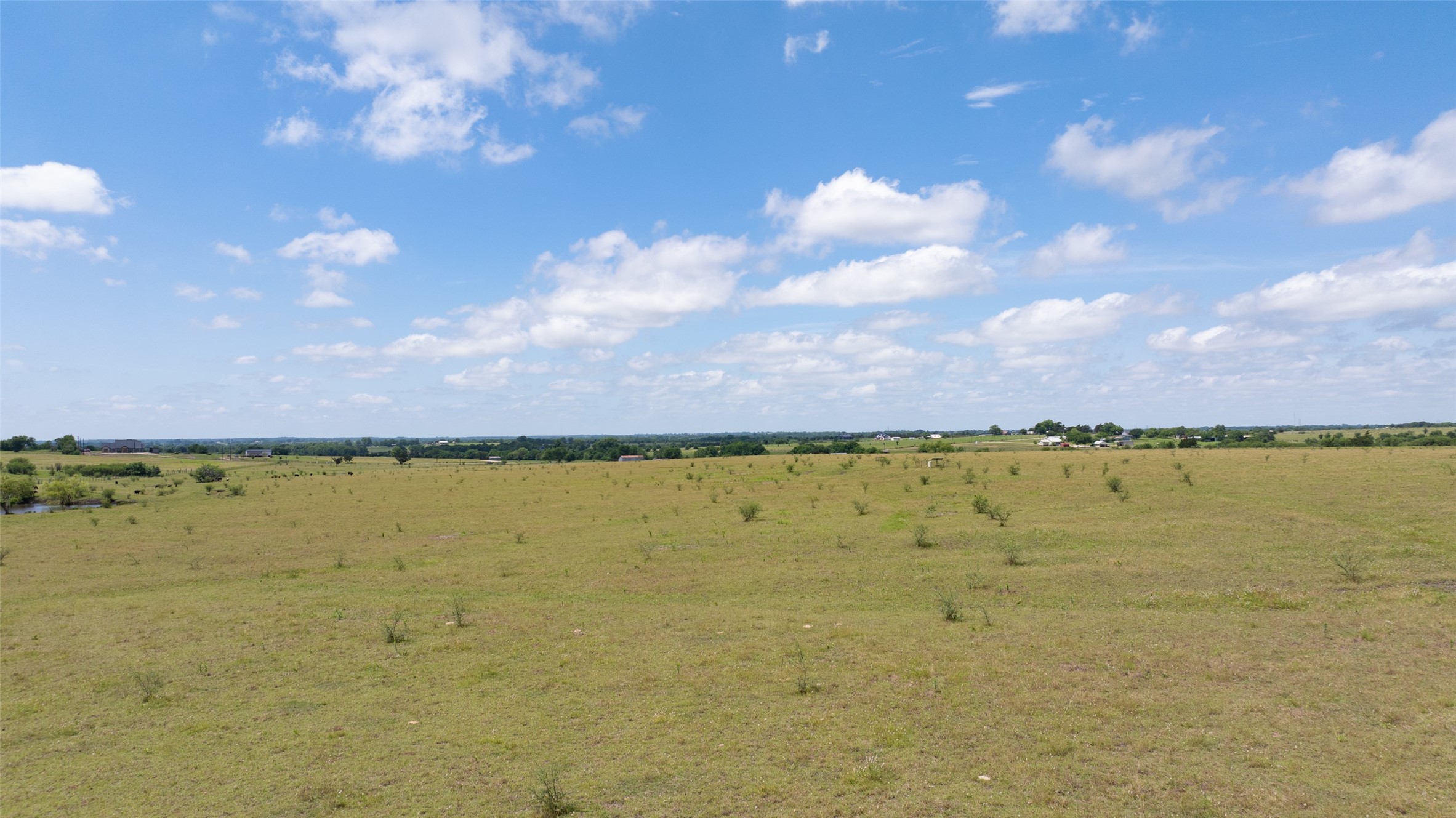 5661 Chadwick-Hogan Road Chappell Hill, TX 77426 - Photo 18 of 22