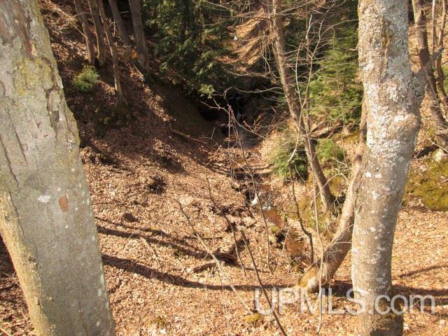 Tbd Golf Course Road Calumet, MI 49913 - Photo 10 of 21