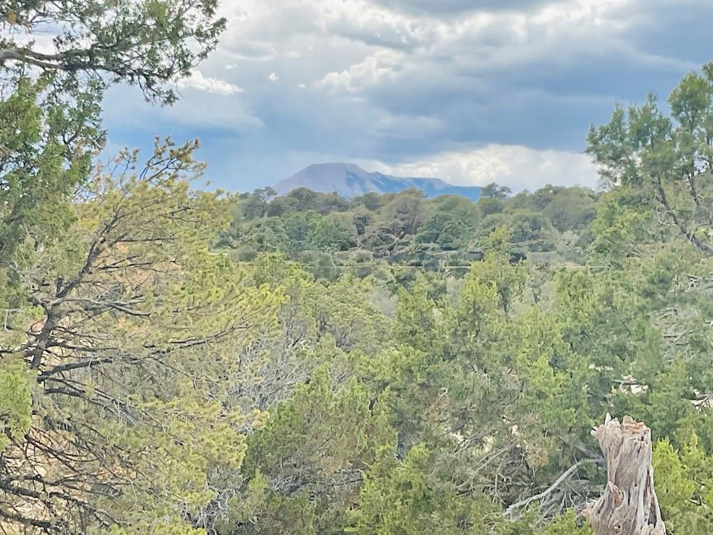 Lot 17 Navajo Ranch Walsenburg, CO 81089 - Photo 11 of 26 a view of a bunch of trees and bushes