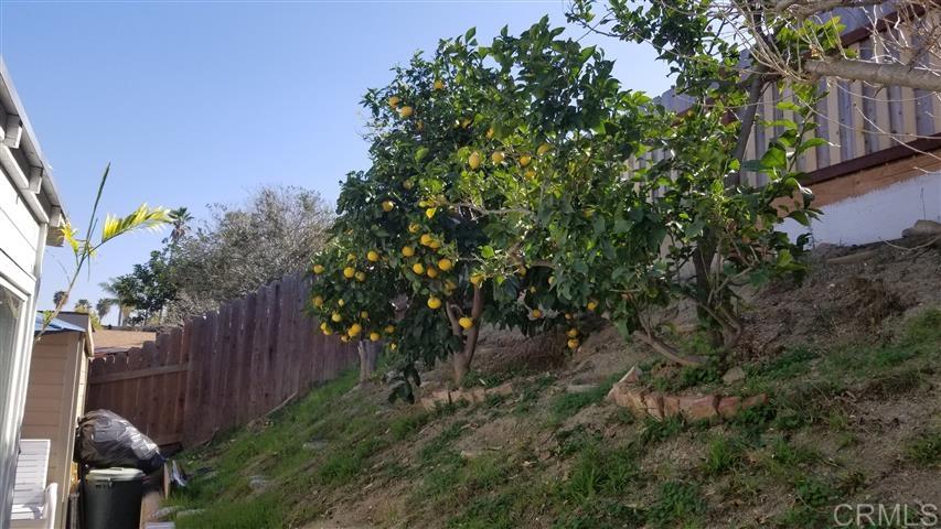 147 Harding Street Oceanside, CA 92057 - Photo 20 of 21 Gallery Image 20