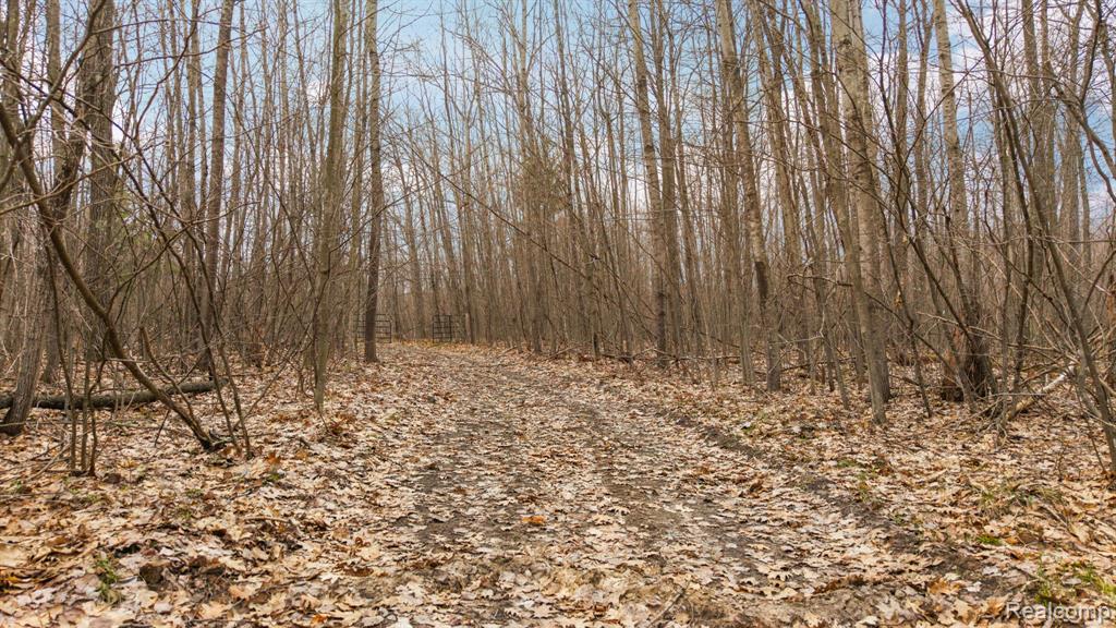 0 North Fairview Road West Branch, MI 48661 - Photo 9 of 14