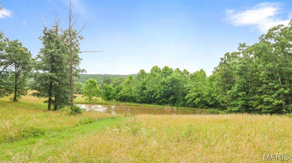 7745 Murr Road Graff, MO 65660 - Photo 38 of 45