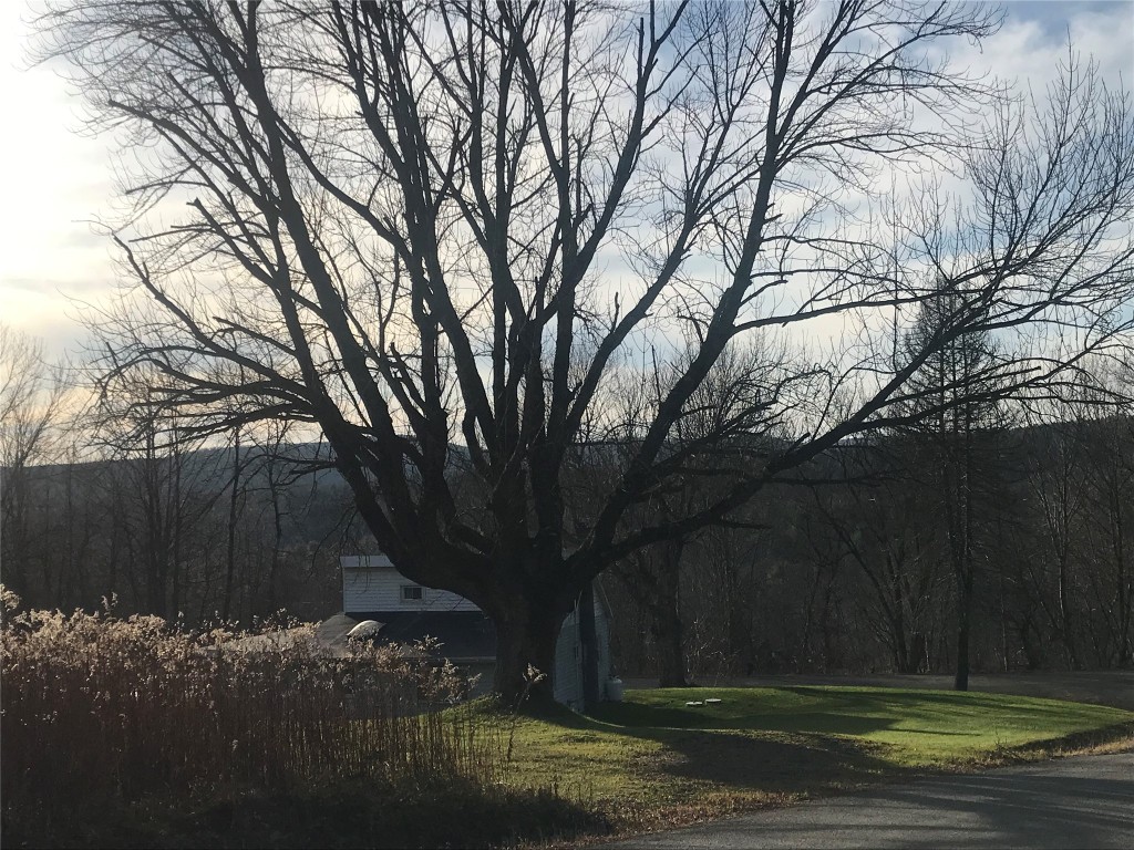 244 Watrous Road Harpursville, NY 13787 - Photo 11 of 48 Gallery Image 11