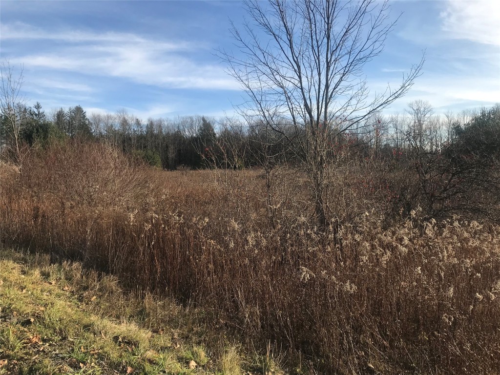 244 Watrous Road Harpursville, NY 13787 - Photo 13 of 48 Gallery Image 13