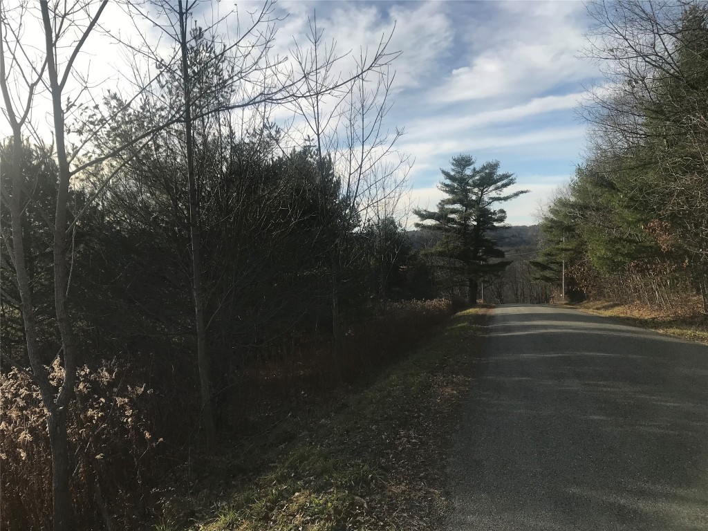 244 Watrous Road Harpursville, NY 13787 - Photo 15 of 48 Gallery Image 15