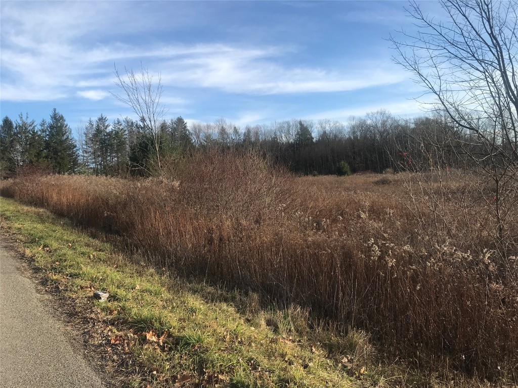 244 Watrous Road Harpursville, NY 13787 - Photo 17 of 48 Gallery Image 17