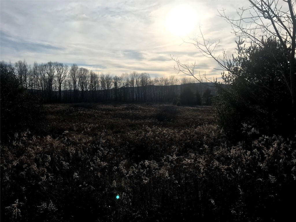 244 Watrous Road Harpursville, NY 13787 - Photo 18 of 48 Gallery Image 18