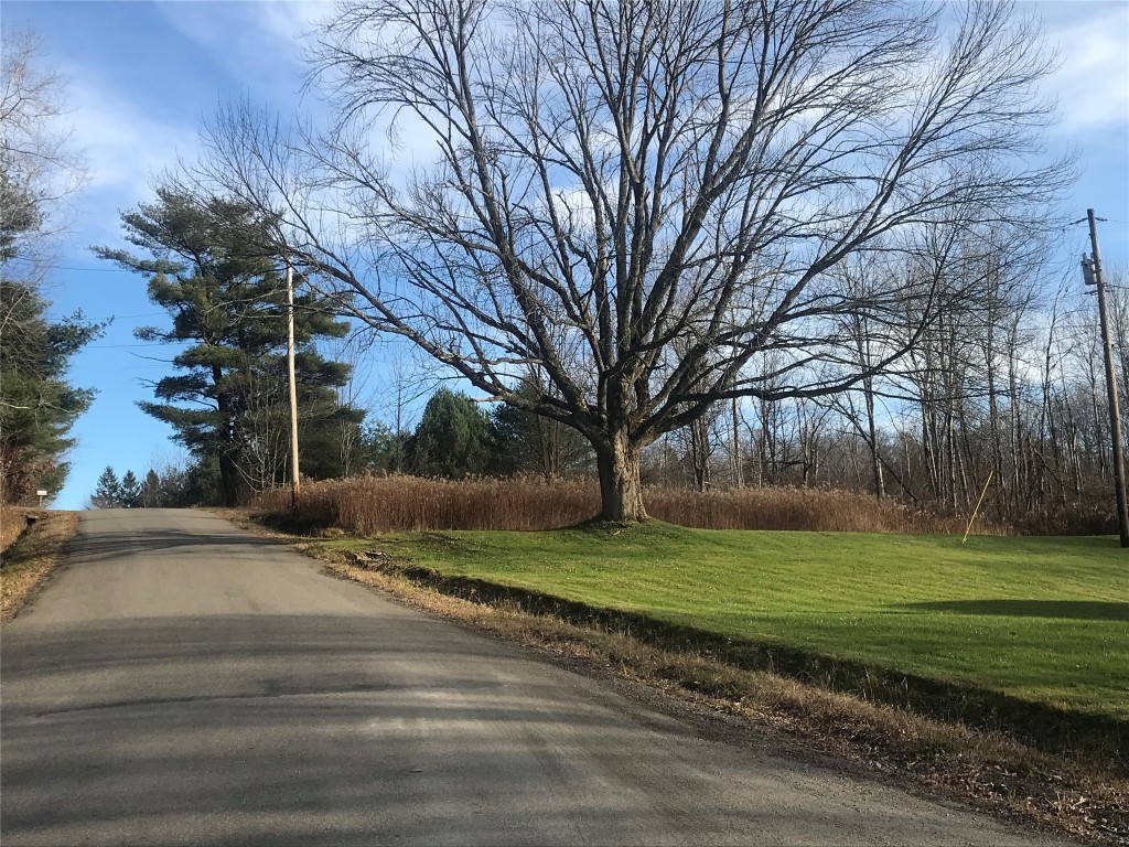 244 Watrous Road Harpursville, NY 13787 - Photo 10 of 48 Gallery Image 10