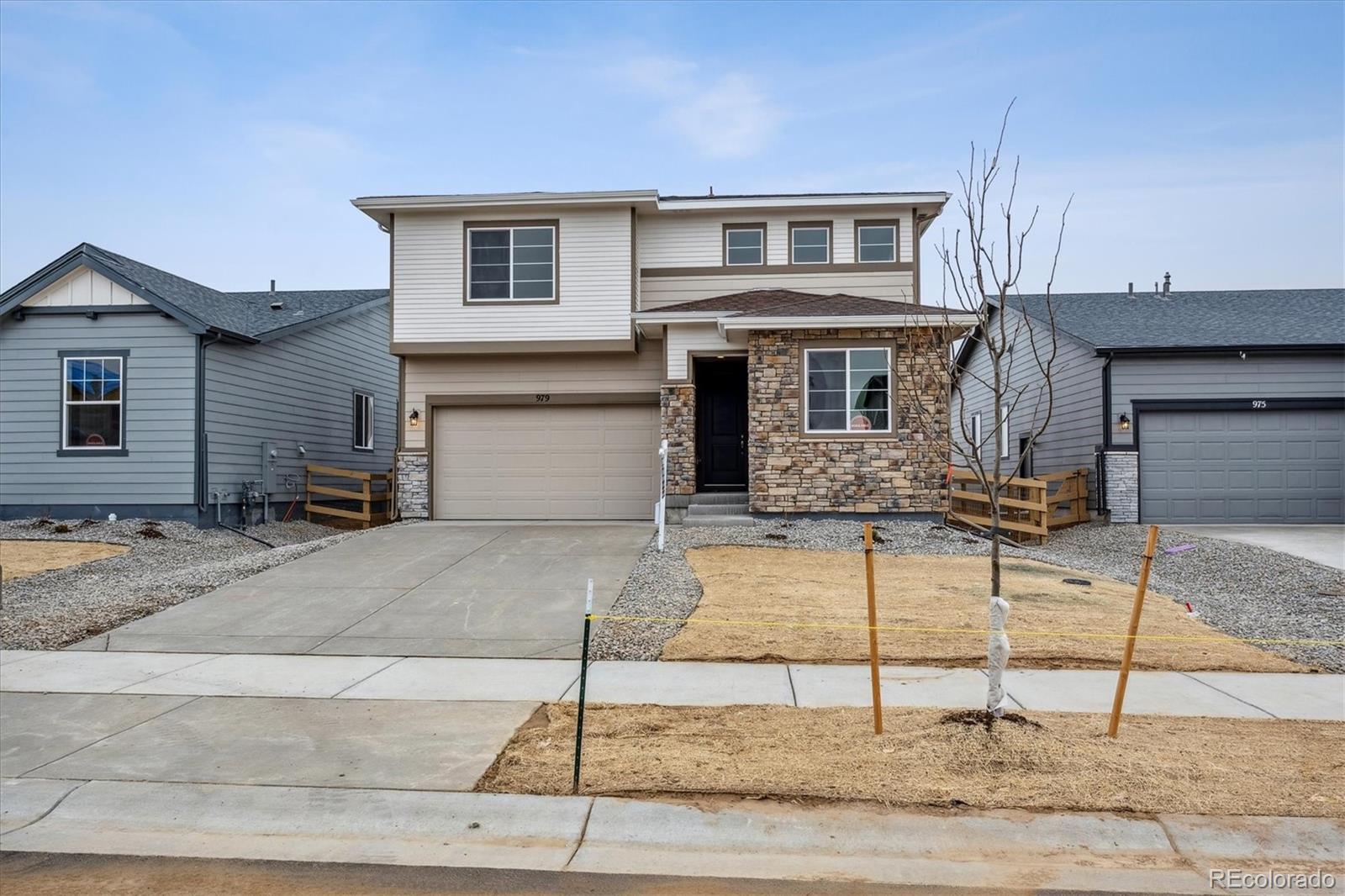 979 Rustling Street Windsor, CO 80550 - Photo 1 of 23 Gallery Image 1
