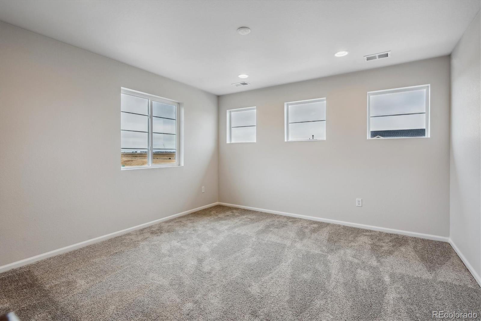 979 Rustling Street Windsor, CO 80550 - Photo 11 of 23 Gallery Image 11