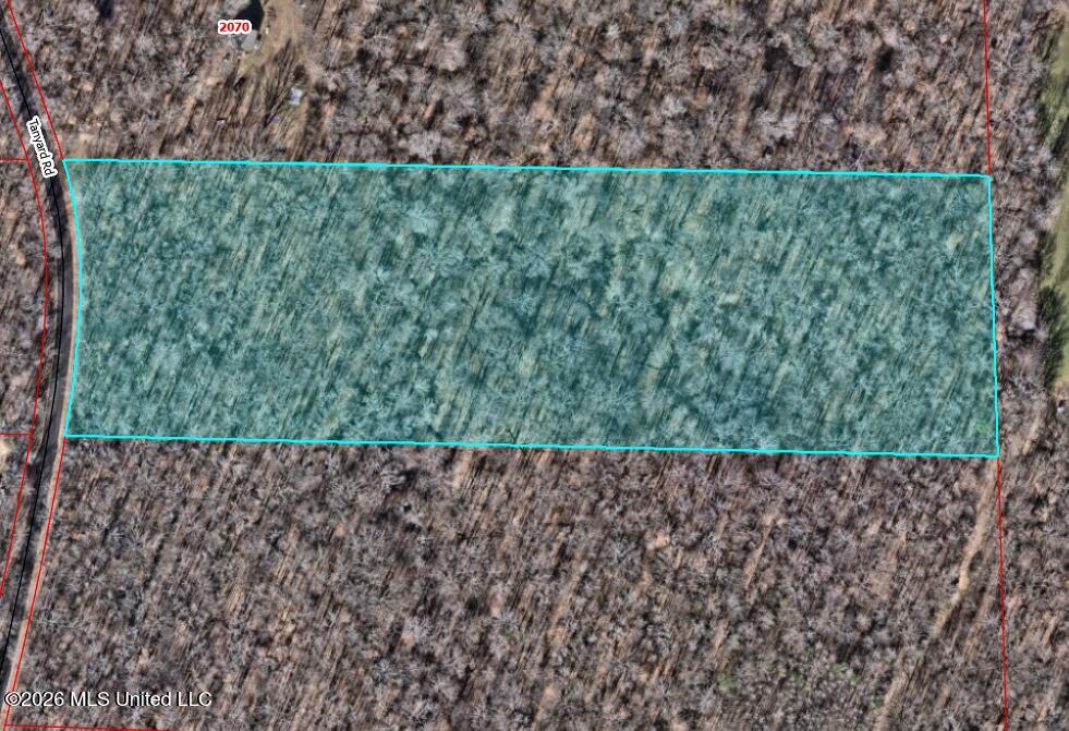 Tanyard Road Hernando, MS 38632 - Photo 2 of 13 GIS Aerial