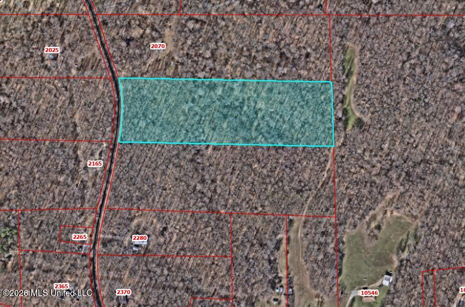 Tanyard Road Hernando, MS 38632 - Photo 9 of 13 GIS Aerial 2