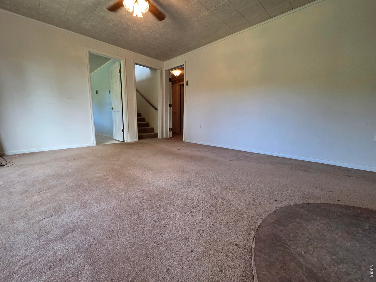 328 North Skinner Road Allenspark, CO 80510 - Photo 30 of 41 Family Room in Lower