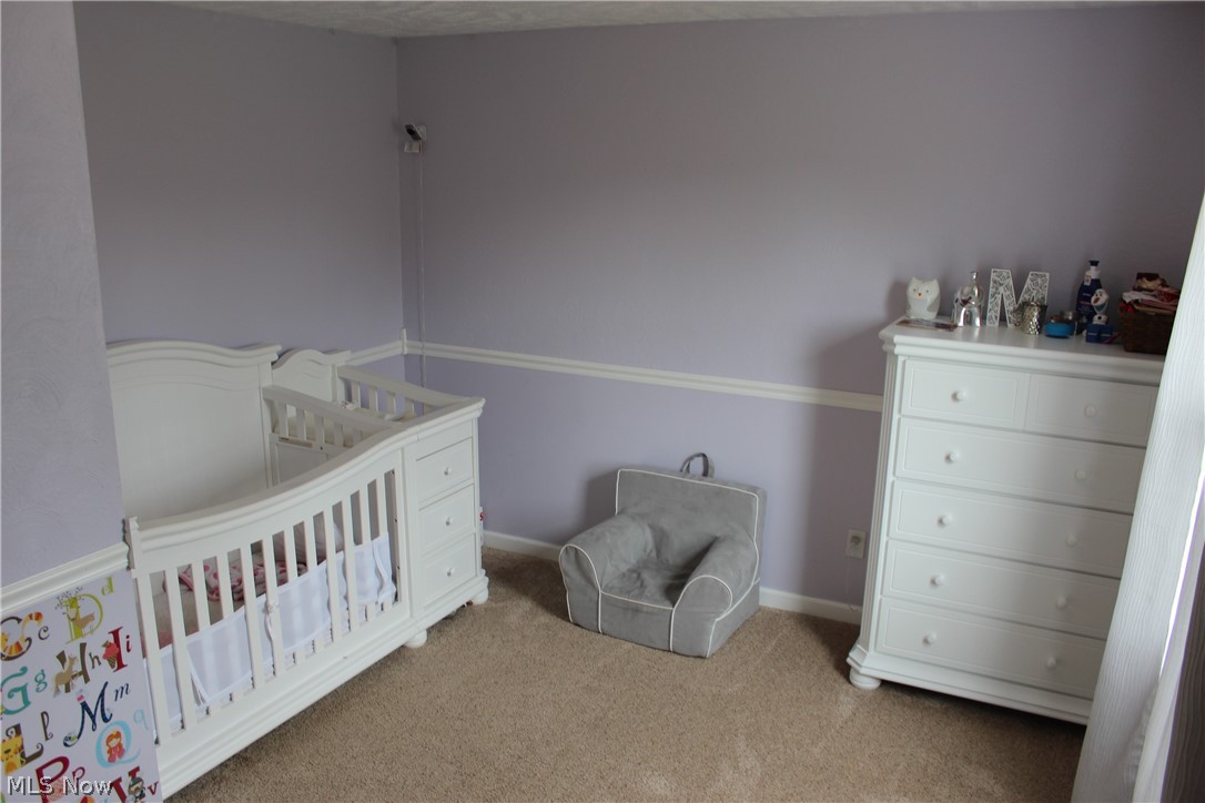 4036 Dayton Road Madison, OH 44057 - Photo 17 of 34 Gallery Image 17