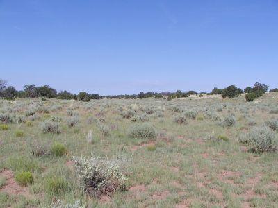 0 Lot 175 South Rim Ranch Williams, AZ 86046 - Photo 3 of 3 Additional Photo