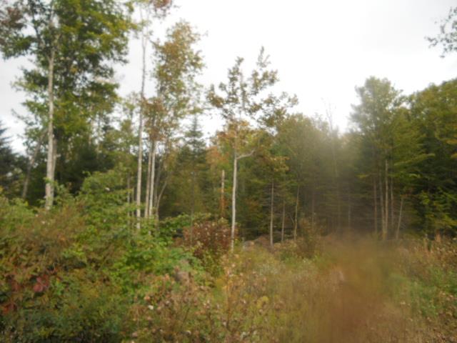 281 Bangor Road Stockton Springs, ME 04981 - Photo 20 of 21 Photo