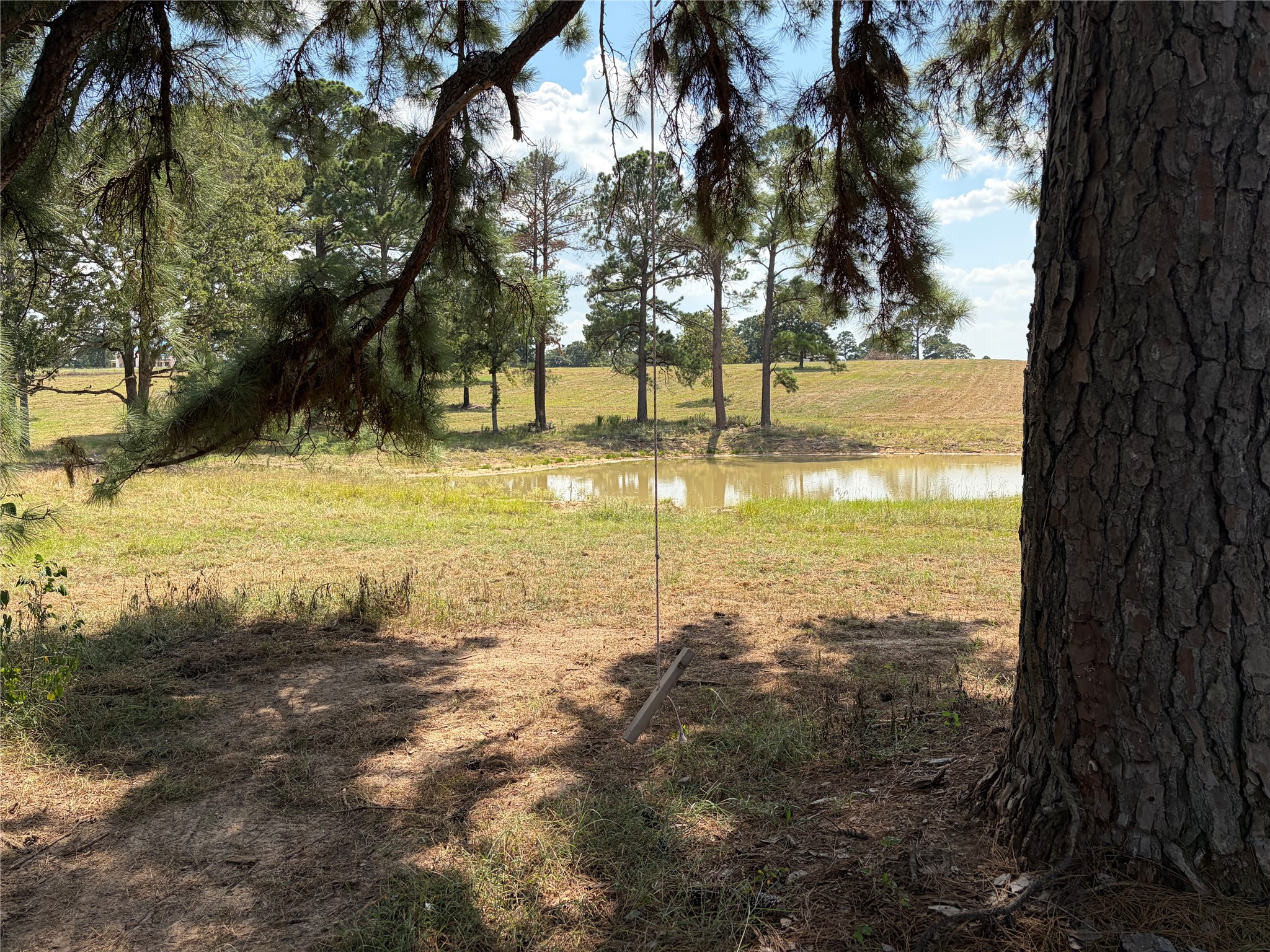 170 Split Oak Road Smithville, TX 78957 - Photo 8 of 31 Natural beauty abounds with a tranquil pond nestled among mature trees.