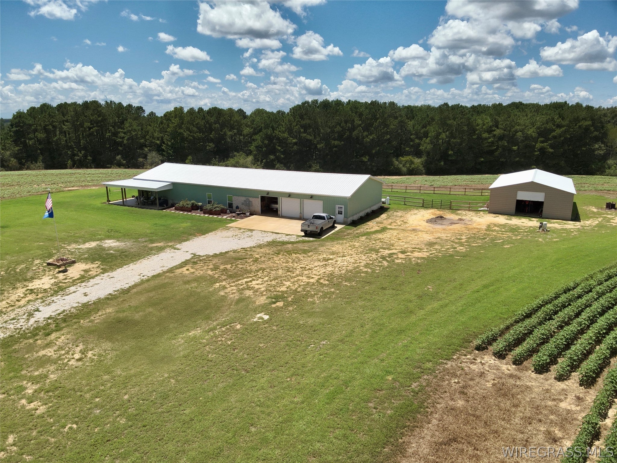 565 Ollie Pouncey Road Chancellor, AL 36316 - Photo 52 of 56 Gallery Image 52