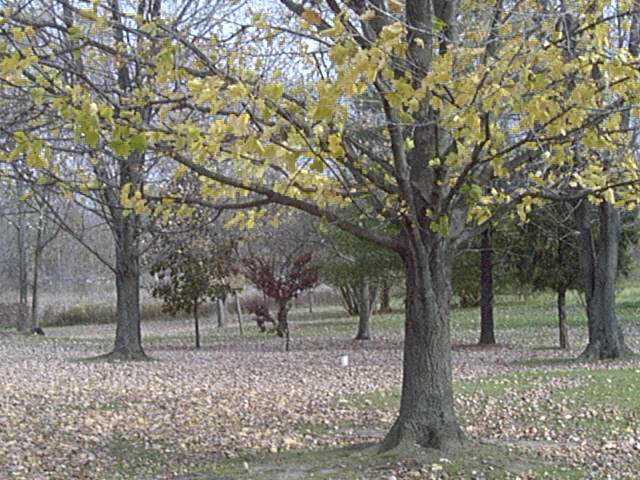 21940 Raymond Road Raymond, OH 43067 - Photo 3 of 6 Gallery Image 3