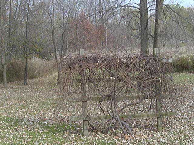 21940 Raymond Road Raymond, OH 43067 - Photo 4 of 6 Gallery Image 4