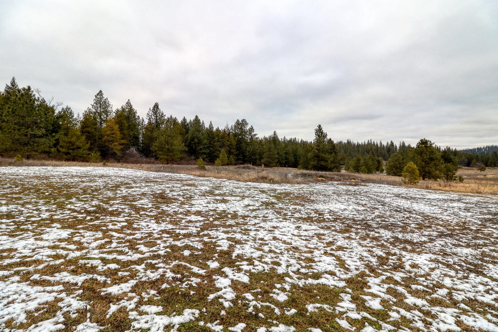 27601 North Scotts Ridge Lane Chattaroy, WA 99003 - Photo 37 of 48