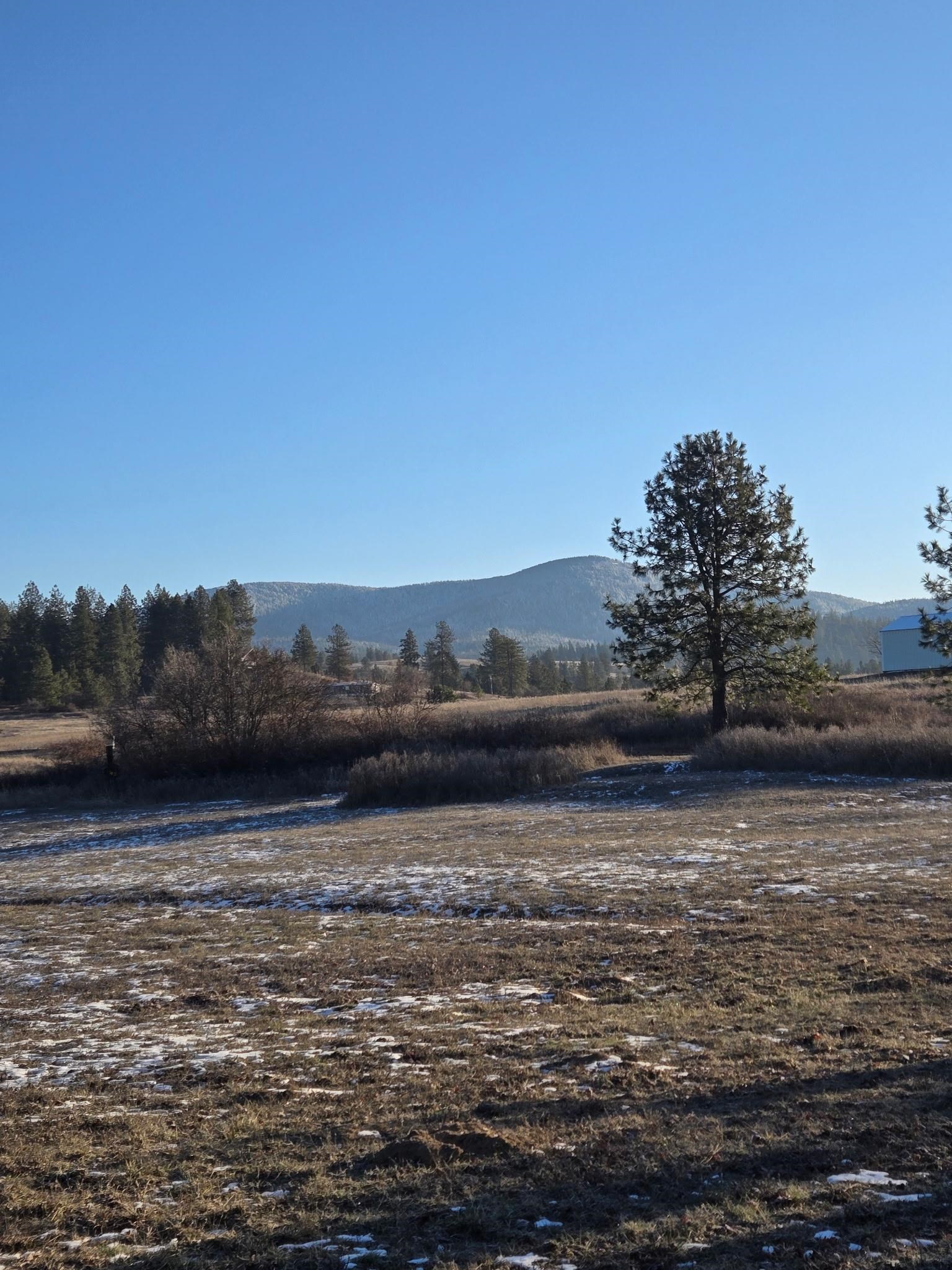 27601 North Scotts Ridge Lane Chattaroy, WA 99003 - Photo 47 of 48