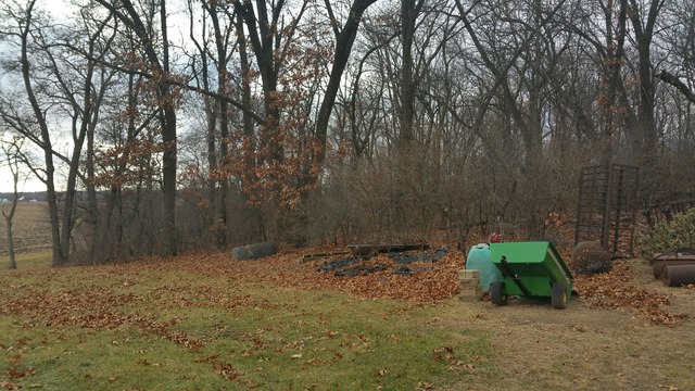 1885 Tower Road Sublette, IL 61367 - Photo 12 of 14 a backyard of a house with lots of green space