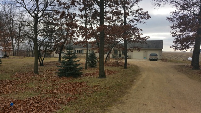 1885 Tower Road Sublette, IL 61367 - Photo 3 of 14 a view of road with trees