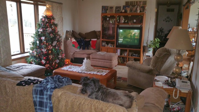 1885 Tower Road Sublette, IL 61367 - Photo 6 of 14 a living room with furniture and a potted plant